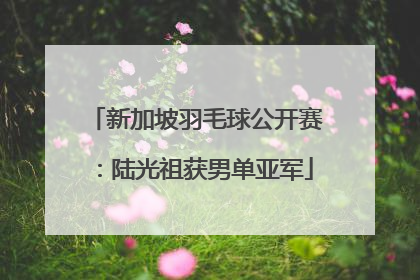 新加坡羽毛球公开赛：陆光祖获男单亚军