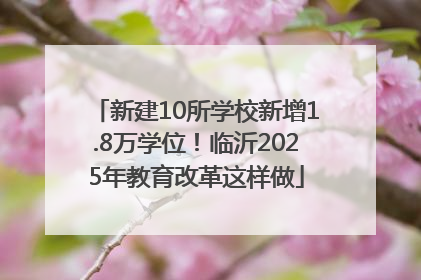 新建10所学校新增1.8万学位！临沂2025年教育改革这样做