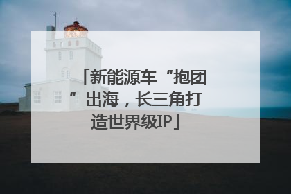 新能源车“抱团”出海，长三角打造世界级IP