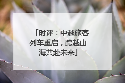 时评：中越旅客列车重启，跨越山海共赴未来
