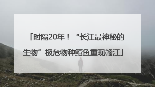 时隔20年！“长江最神秘的生物”极危物种鳤鱼重现赣江