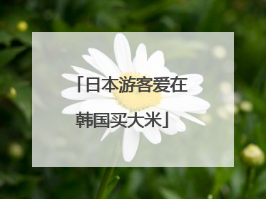 日本游客爱在韩国买大米