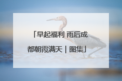 早起福利 雨后成都朝霞满天｜图集