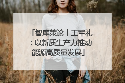 智库策论丨王军礼：以新质生产力推动能源高质量发展