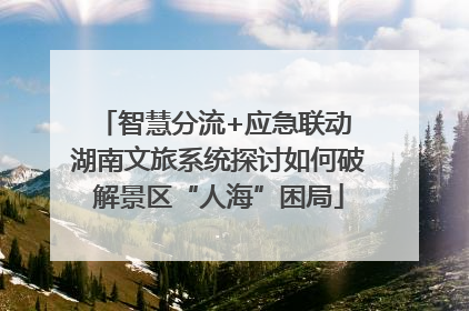 智慧分流+应急联动 湖南文旅系统探讨如何破解景区“人海”困局