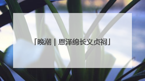 晚潮｜恩泽绵长义贞祠