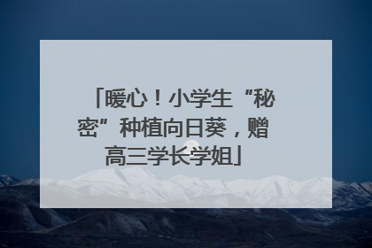 暖心！小学生“秘密”种植向日葵，赠高三学长学姐