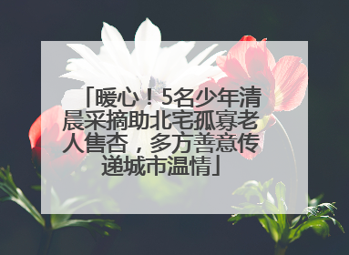 暖心！5名少年清晨采摘助北宅孤寡老人售杏，多方善意传递城市温情