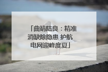 曲靖陆良：精准消缺除隐患 护航电网迎峰度夏