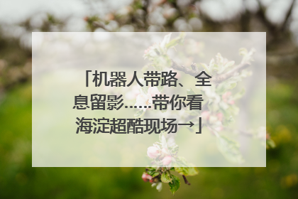 机器人带路、全息留影……带你看海淀超酷现场→