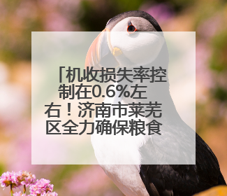 机收损失率控制在0.6%左右！济南市莱芜区全力确保粮食颗粒归仓