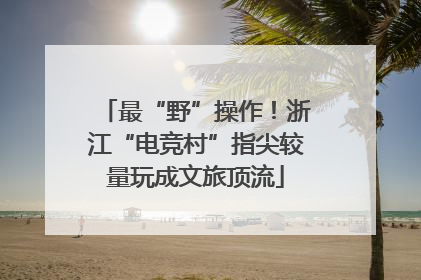 最“野”操作！浙江“电竞村”指尖较量玩成文旅顶流