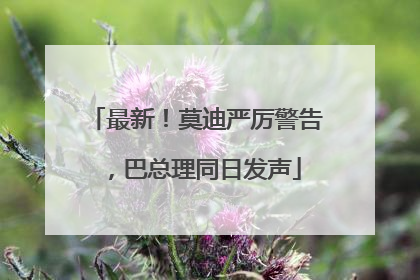 最新！莫迪严厉警告，巴总理同日发声
