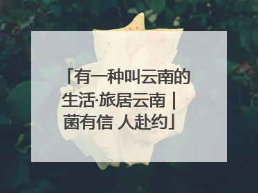 有一种叫云南的生活·旅居云南｜菌有信 人赴约