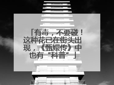 有毒，不要碰！这种花已在街头出现，《甄嬛传》中也有“科普”