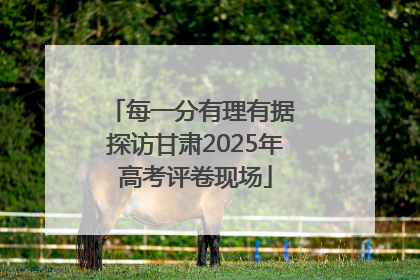 每一分有理有据 探访甘肃2025年高考评卷现场
