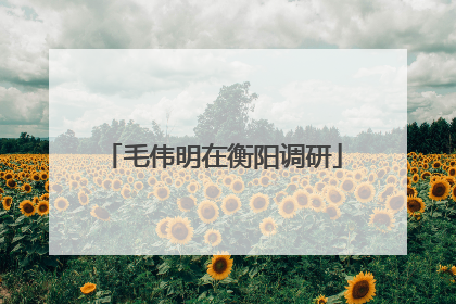毛伟明在衡阳调研