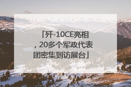 歼-10CE亮相，20多个军政代表团密集到访展台