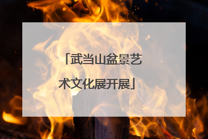 武当山盆景艺术文化展开展