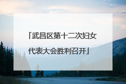 武昌区第十二次妇女代表大会胜利召开