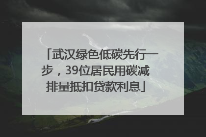 武汉绿色低碳先行一步，39位居民用碳减排量抵扣贷款利息