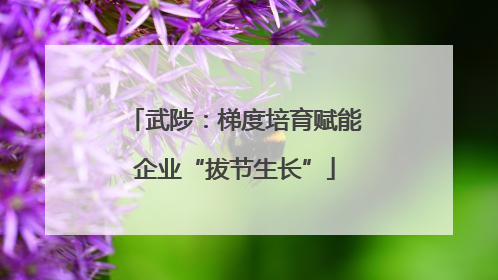 武陟：梯度培育赋能企业“拔节生长”