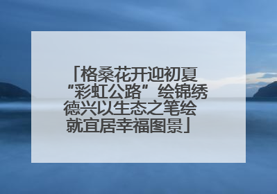 格桑花开迎初夏 “彩虹公路”绘锦绣 德兴以生态之笔绘就宜居幸福图景
