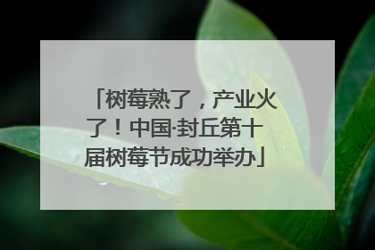 树莓熟了，产业火了！中国·封丘第十届树莓节成功举办