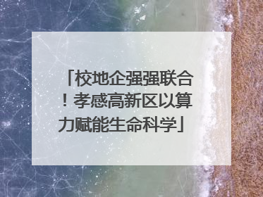 校地企强强联合！孝感高新区以算力赋能生命科学