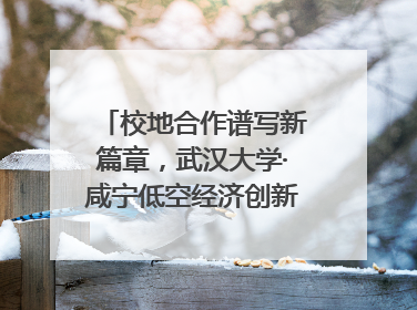 校地合作谱写新篇章，武汉大学·咸宁低空经济创新研究院签约成立