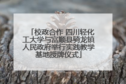 校政合作 四川轻化工大学与富顺县骑龙镇人民政府举行实践教学基地授牌仪式