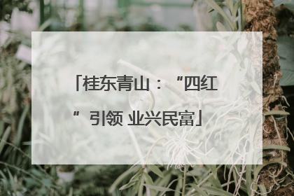 桂东青山：“四红”引领 业兴民富