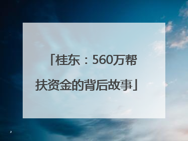 桂东：560万帮扶资金的背后故事