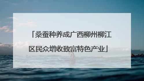 桑蚕种养成广西柳州柳江区民众增收致富特色产业