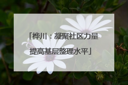 桦川：凝聚社区力量 提高基层整理水平