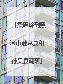 梁惠玲到黑河市逊克县和孙吴县调研