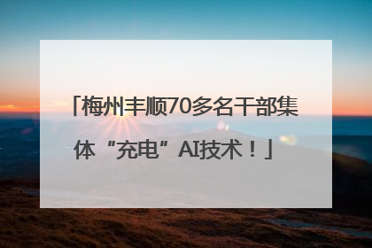 梅州丰顺70多名干部集体“充电”AI技术！