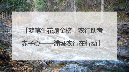 梦笔生花题金榜，农行助考赤子心——浦城农行在行动