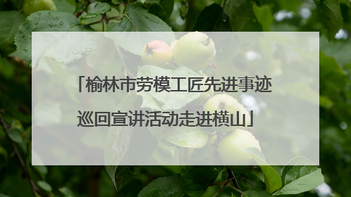 榆林市劳模工匠先进事迹巡回宣讲活动走进横山