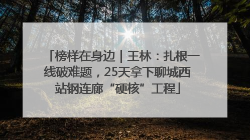 榜样在身边｜王林：扎根一线破难题，25天拿下聊城西站钢连廊“硬核”工程