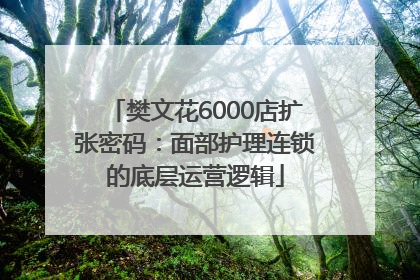 樊文花6000店扩张密码：面部护理连锁的底层运营逻辑