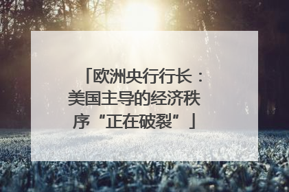 欧洲央行行长：美国主导的经济秩序“正在破裂”