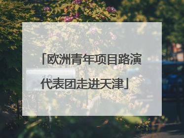 欧洲青年项目路演代表团走进天津
