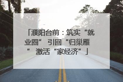 濮阳台前：筑实“就业圈” 引回“归巢雁” 激活“家经济”