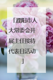 濮阳市人大常委会开展主任接待代表日活动