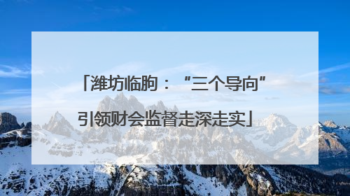 潍坊临朐：“三个导向”引领财会监督走深走实