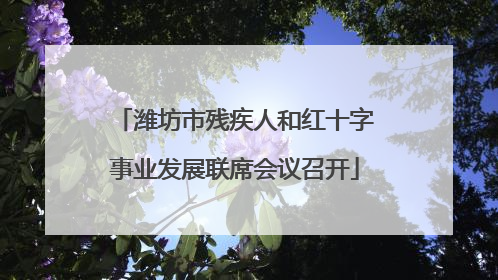 潍坊市残疾人和红十字事业发展联席会议召开