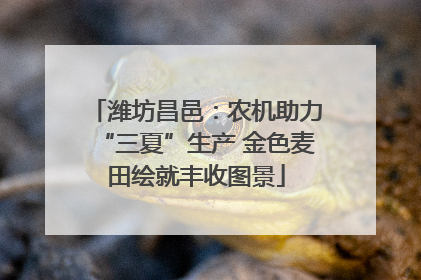 潍坊昌邑：农机助力“三夏”生产 金色麦田绘就丰收图景