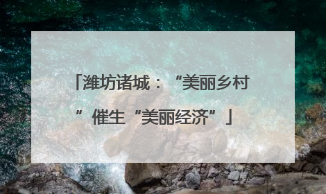 潍坊诸城：“美丽乡村”催生“美丽经济”