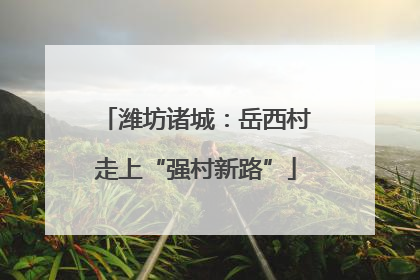 潍坊诸城：岳西村走上“强村新路”